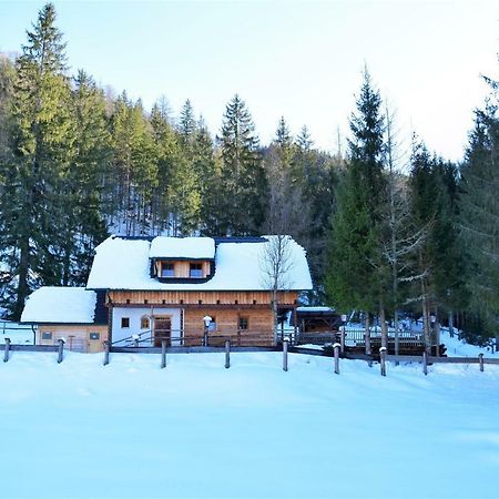 Ferienhaus Dirnbacher Hütte Turnau Exterior foto