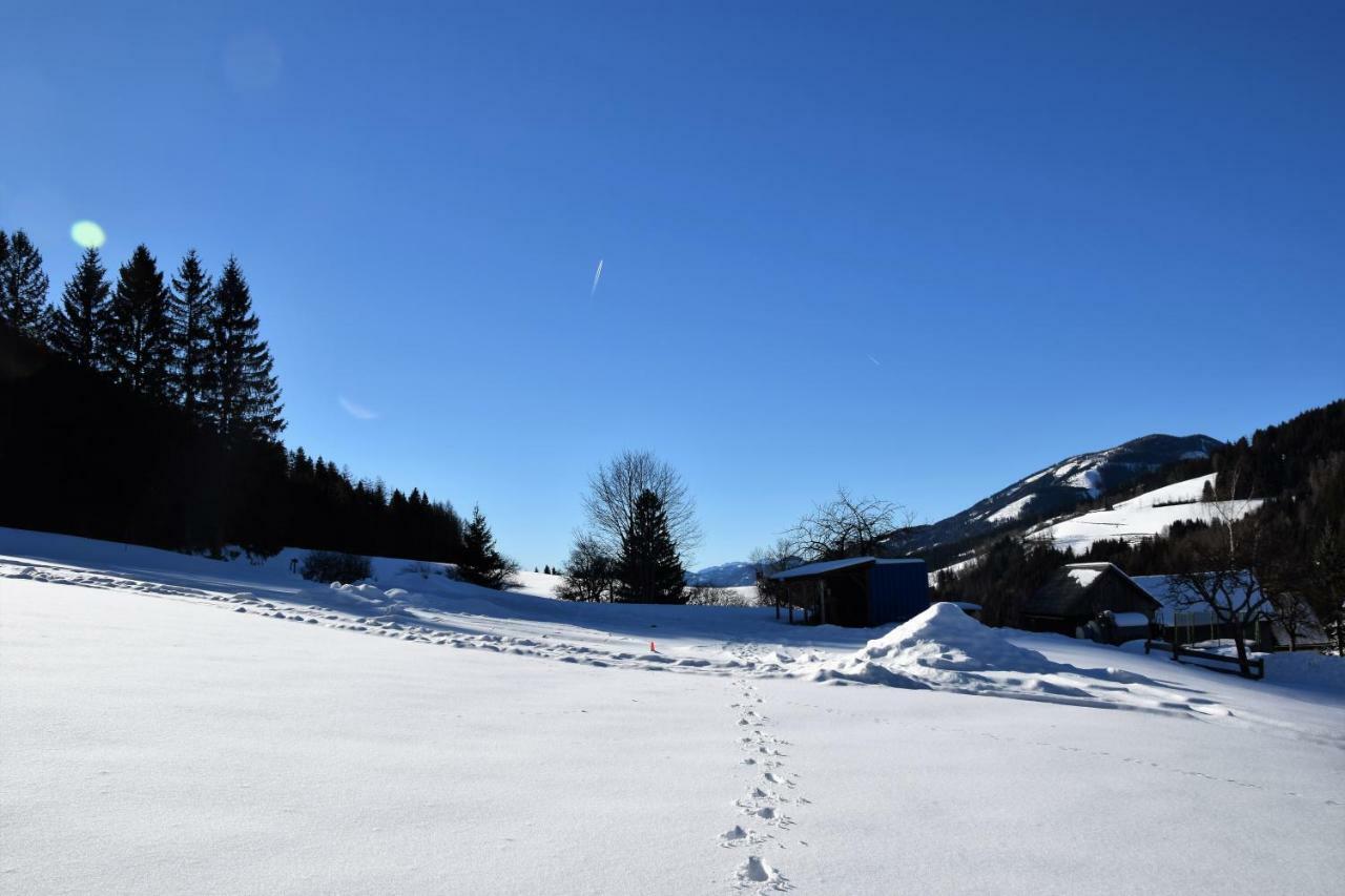 Ferienhaus Dirnbacher Hütte Turnau Exterior foto