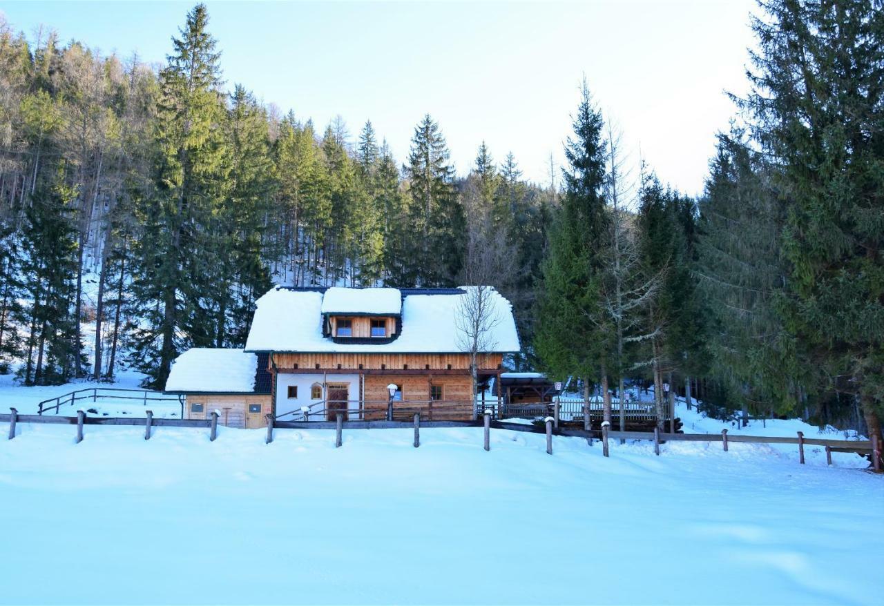 Ferienhaus Dirnbacher Hütte Turnau Exterior foto
